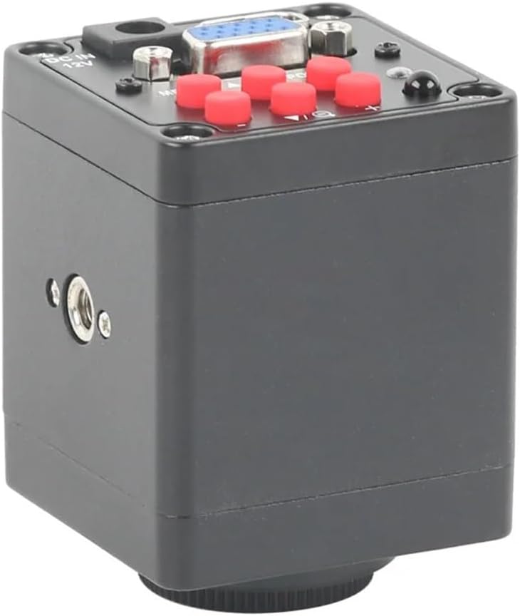 T200 BLACK 2025 特注 DG MID ツアーイシュー ブラック 黒 楽天市場